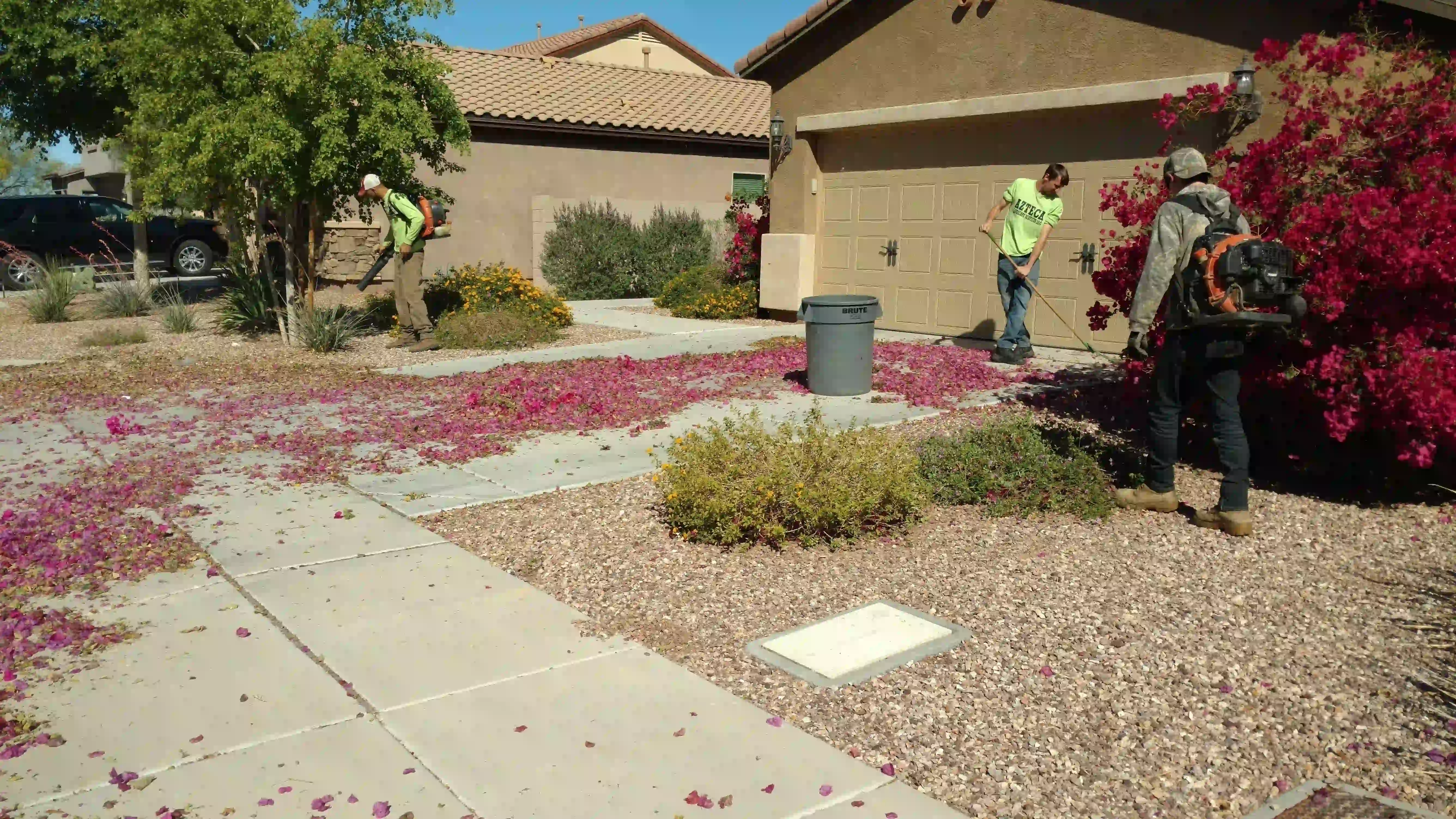 Yard cleanup service