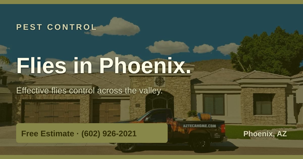 Fly Control in Phoenix, AZ — AZTECA Home Services