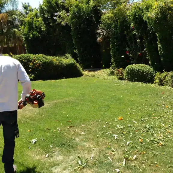 Worker with a leaf blower cleaning a green lawn