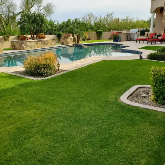 Backyard pool with artificial turf and stone patio (current home page hero)