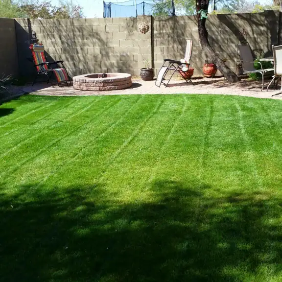 Freshly mowed striped backyard lawn with fire pit