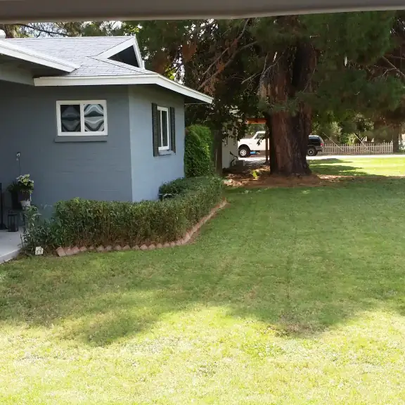 Green lawn beside a small guest house