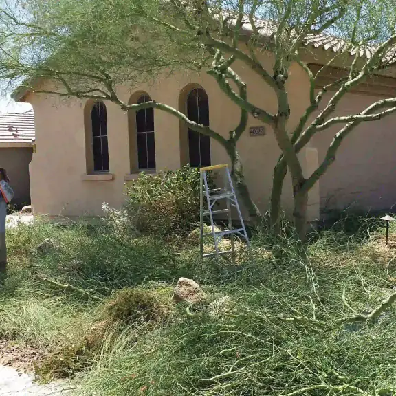 Worker trimming a tree with a pole saw