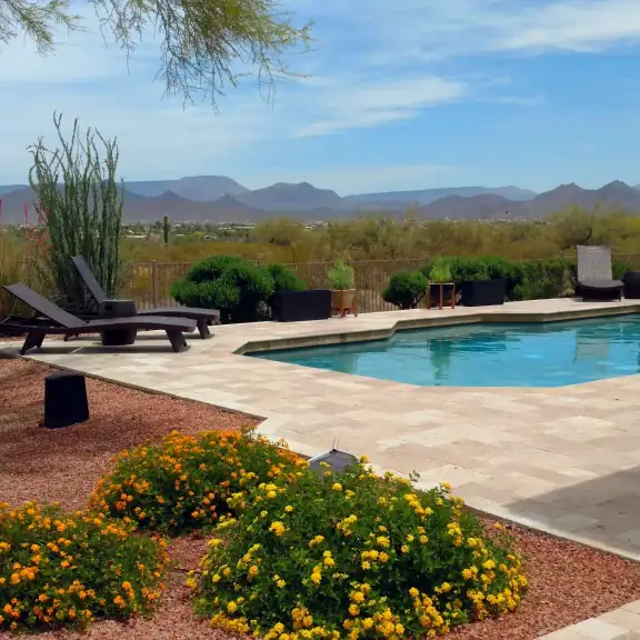 Pool with flowers, lounge chairs and saguaro