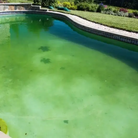 Green algae filled pool (square)