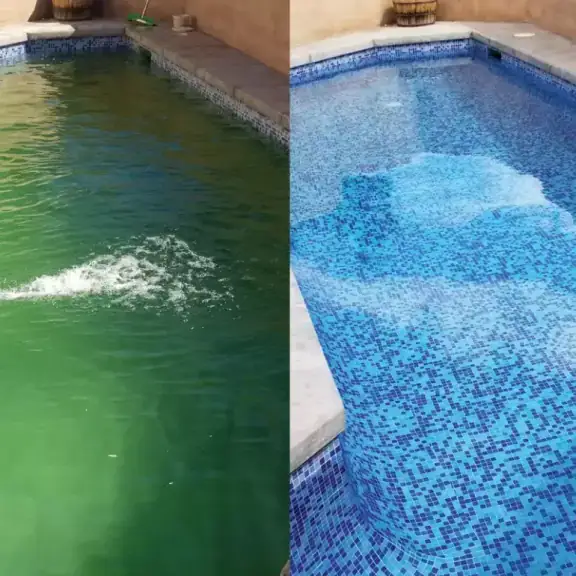 Green pool turned clean, split before and after (square)